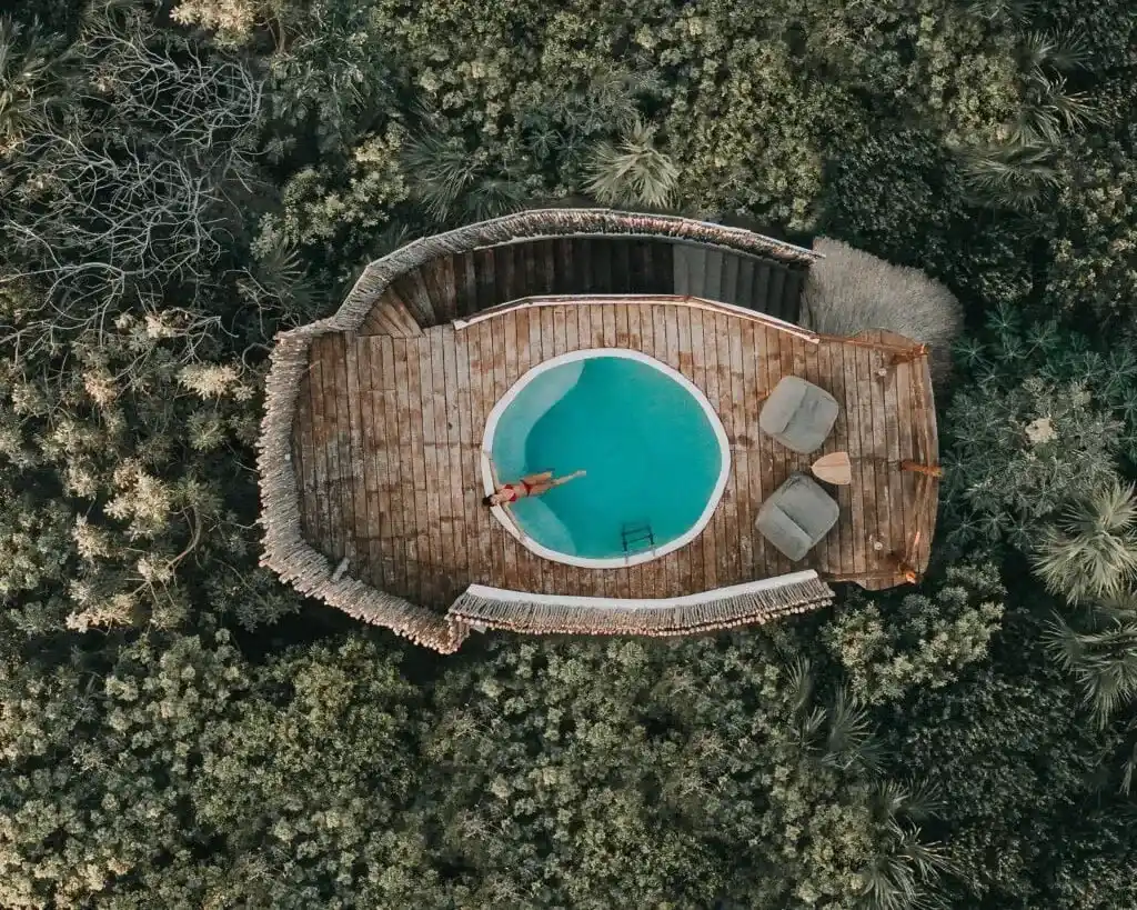 Bestintulum